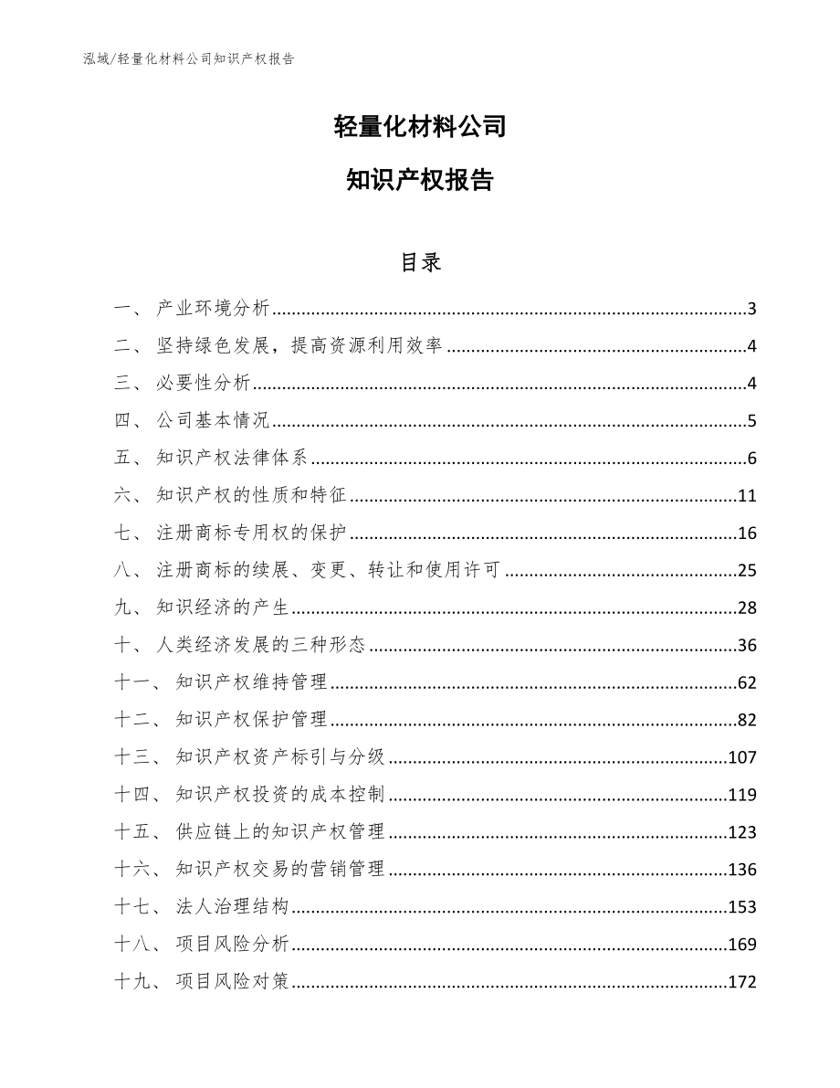 轻量化材料公司知识产权报告_参考_第1页