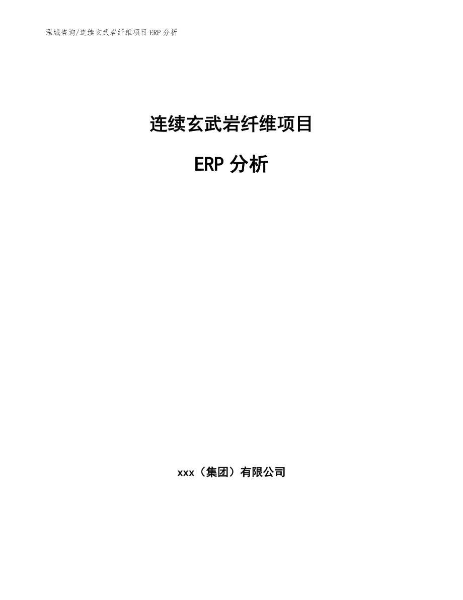 连续玄武岩纤维项目ERP分析【参考】_第1页