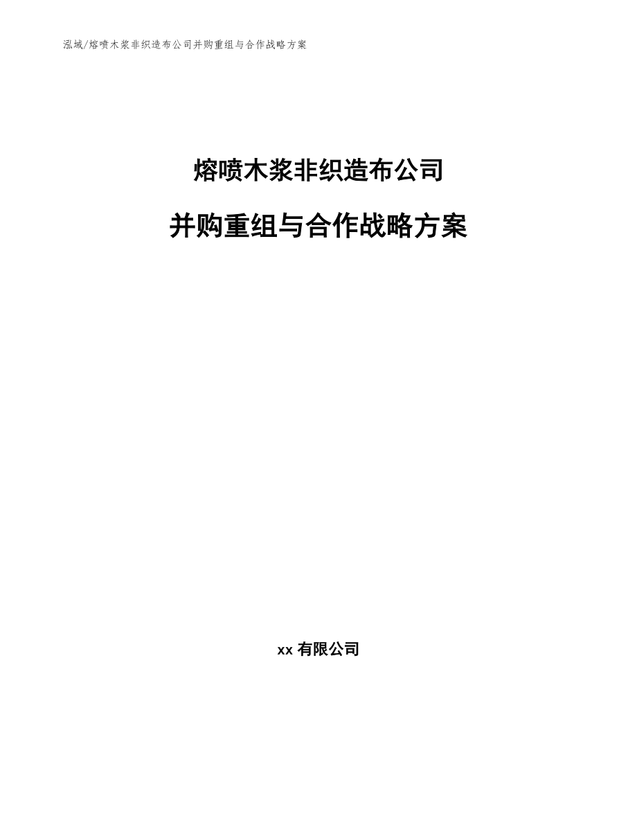 熔喷木浆非织造布公司并购重组与合作战略方案（参考）_第1页