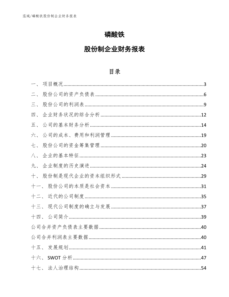 磷酸铁股份制企业财务报表【参考】_第1页