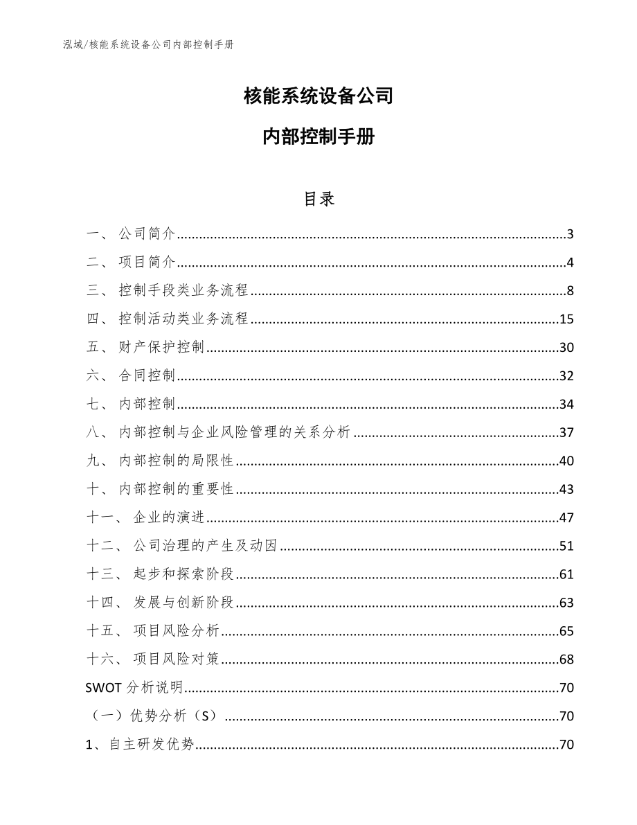 核能系统设备公司内部控制手册（范文）_第1页