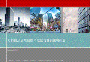 中原XXXX年04月武汉市某地产白沙洲项目整体定位与营销策