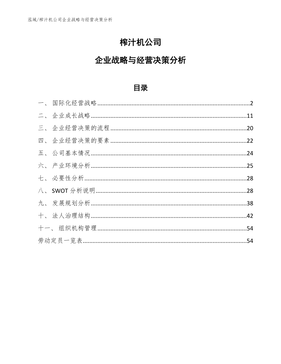 榨汁机公司企业战略与经营决策分析_参考_第1页