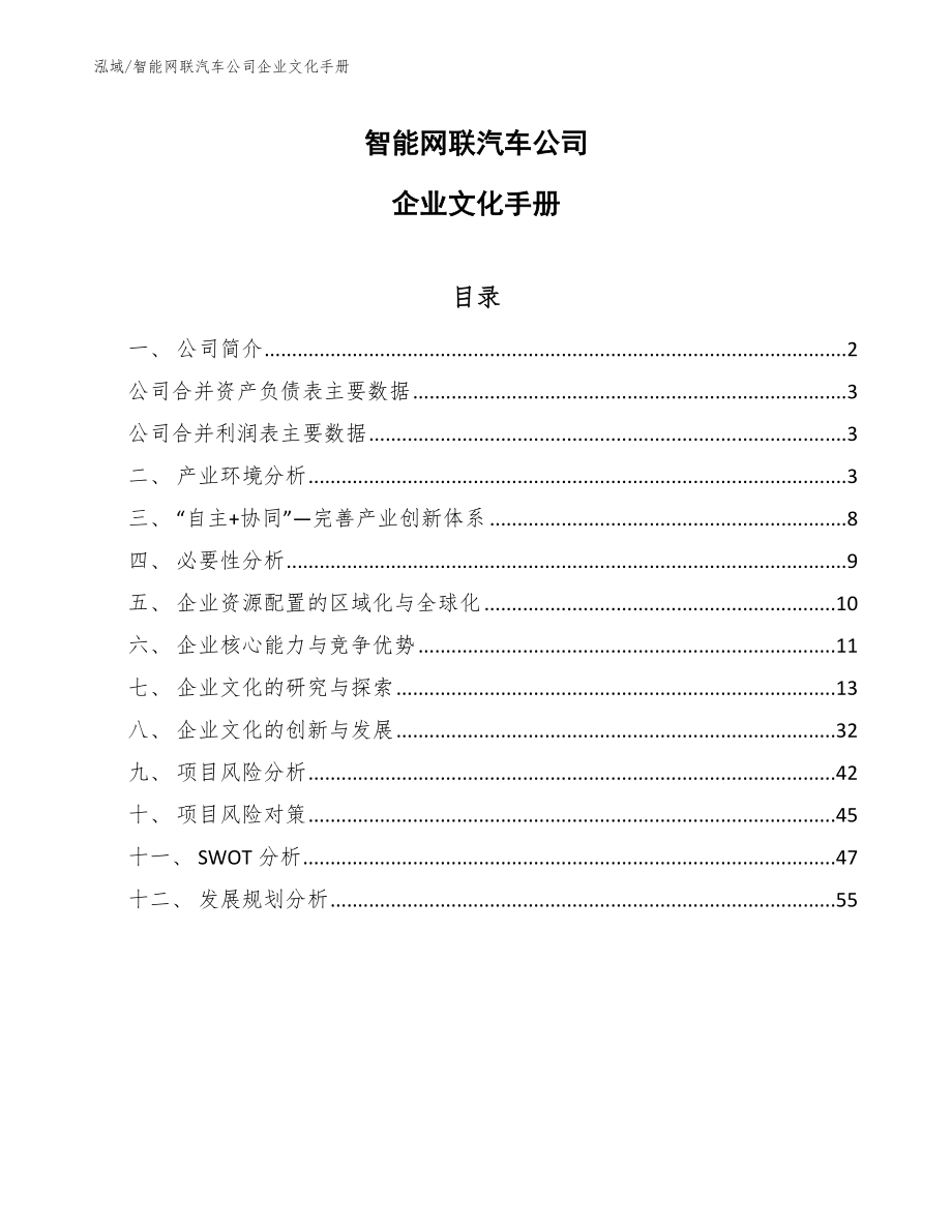 智能网联汽车公司企业文化手册_第1页