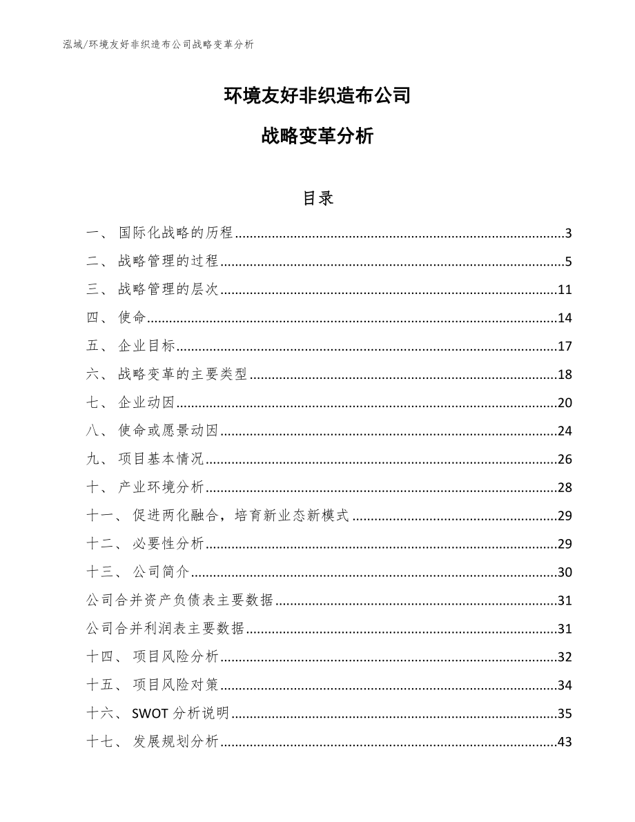 环境友好非织造布公司战略变革分析_第1页