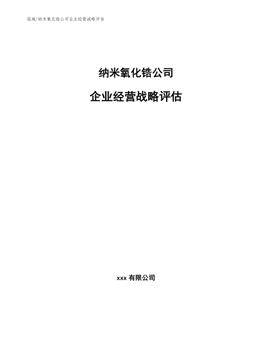 纳米氧化锆公司企业经营战略评估【范文】_第1页