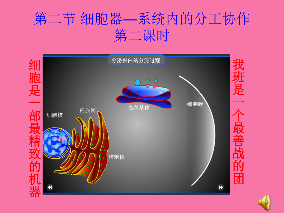 二节细胞器系统内的分工合作二课时ppt课件_第1页