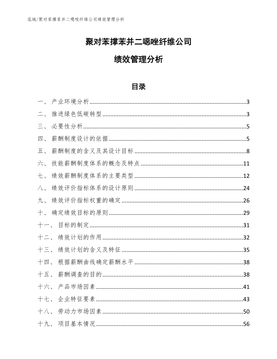 聚对苯撑苯并二噁唑纤维公司绩效管理分析（参考）_第1页