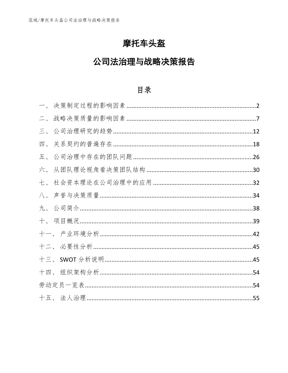 摩托车头盔公司法治理与战略决策报告_第1页