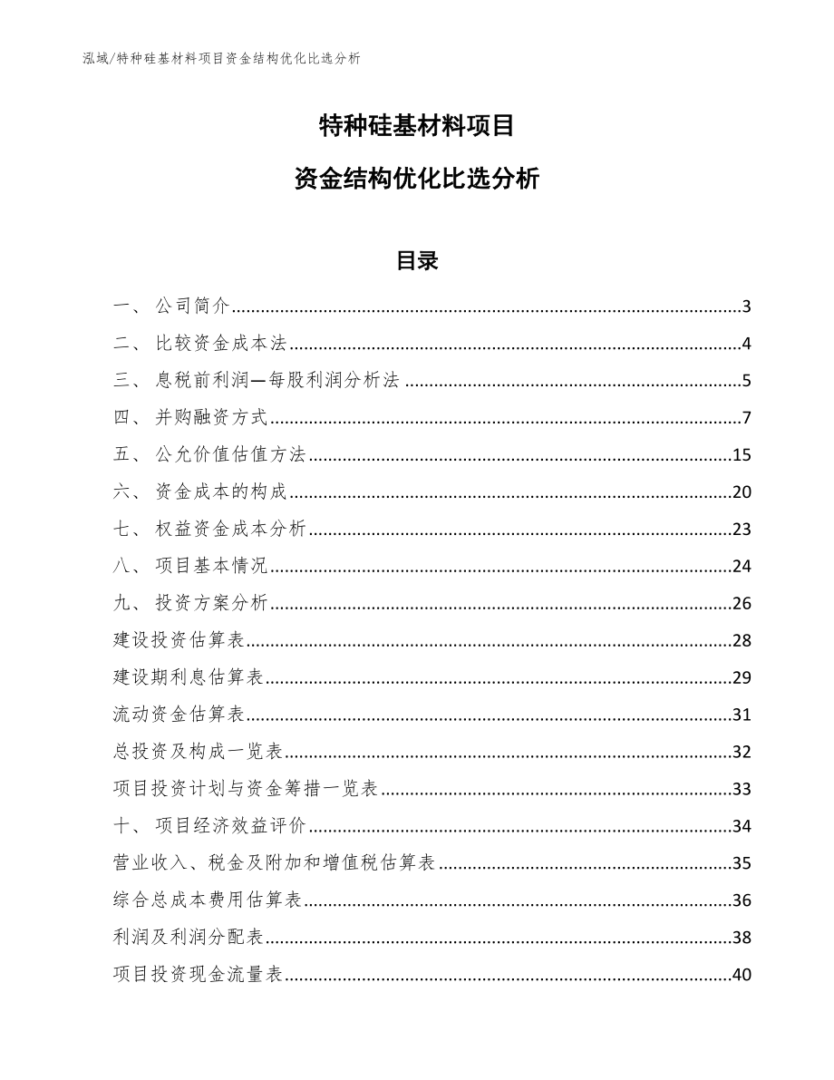 特种硅基材料项目资金结构优化比选分析_第1页