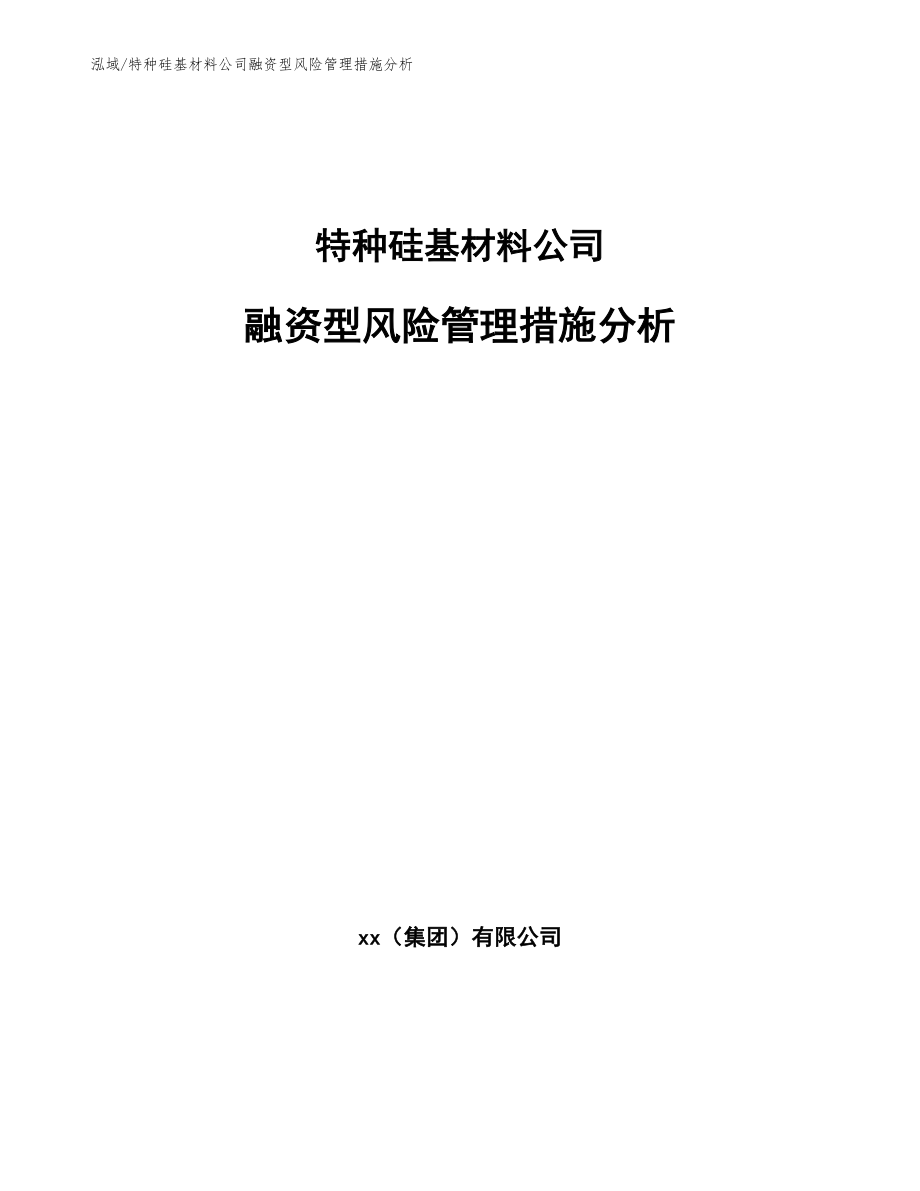 特种硅基材料公司融资型风险管理措施分析_第1页