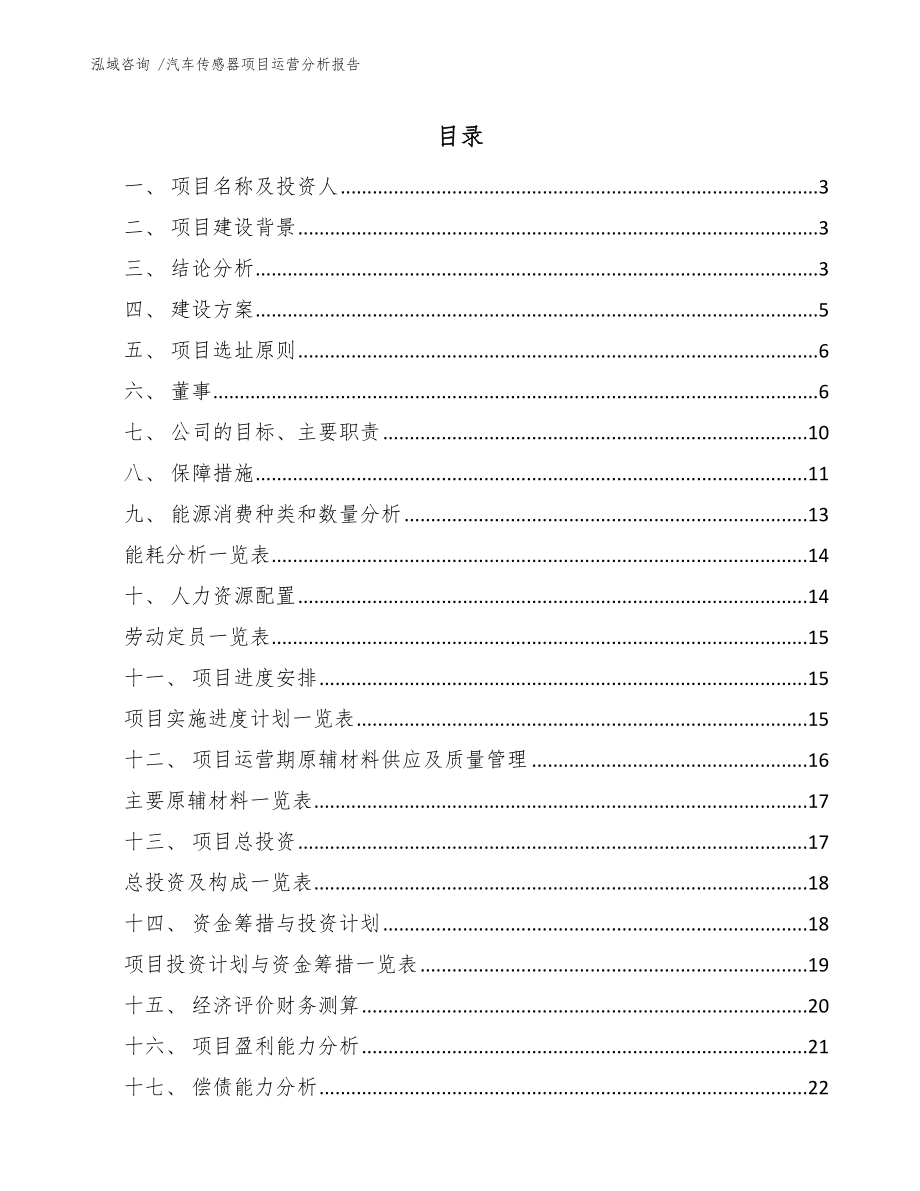 汽车传感器项目运营分析报告_第1页