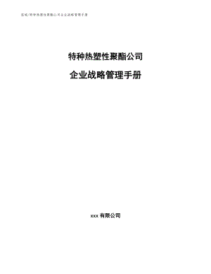 特种热塑性聚酯公司企业战略管理手册【范文】