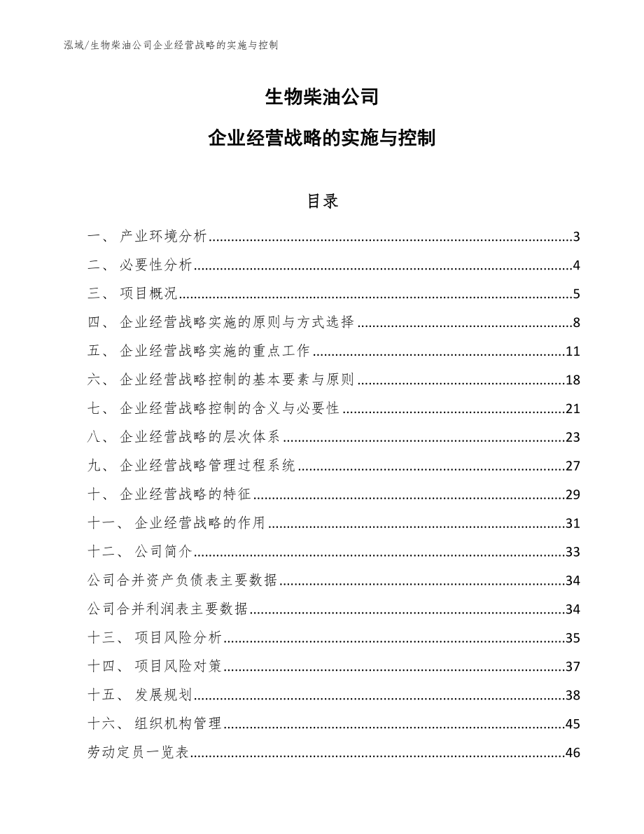 生物柴油公司企业经营战略的实施与控制_第1页