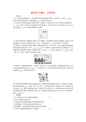 九年級物理全冊 期末復(fù)習(xí)專題七 生活用電練習(xí) （新版）新人教版