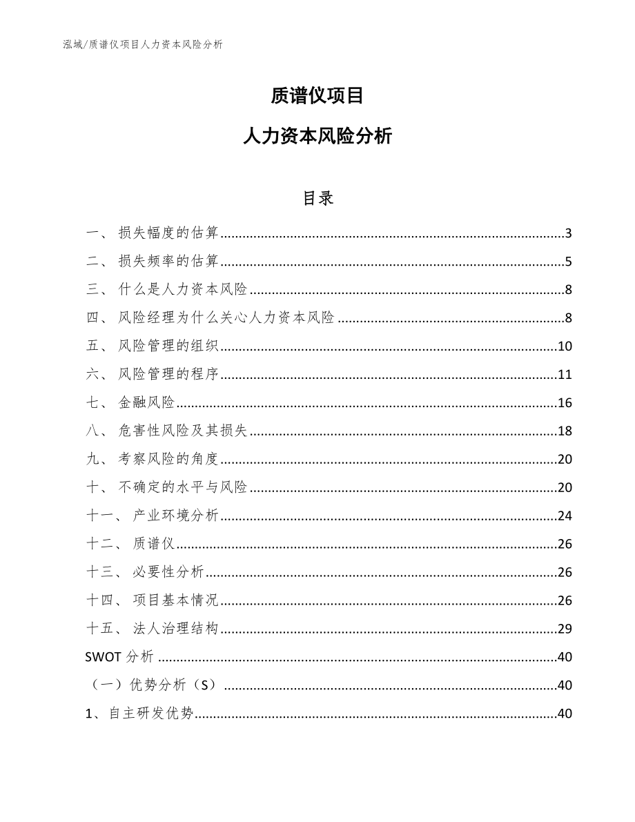 质谱仪项目人力资本风险分析【范文】_第1页