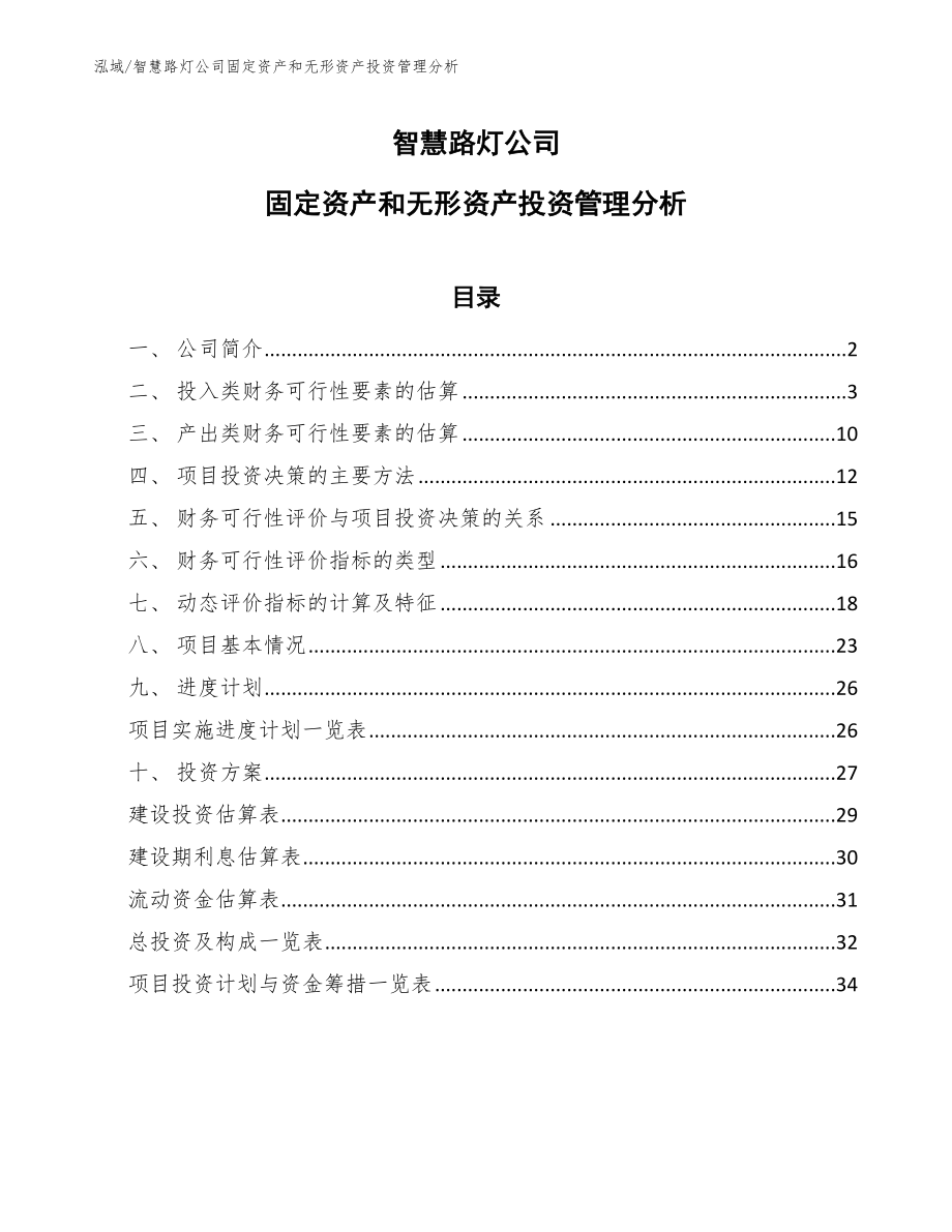 智慧路灯公司固定资产和无形资产投资管理分析_第1页