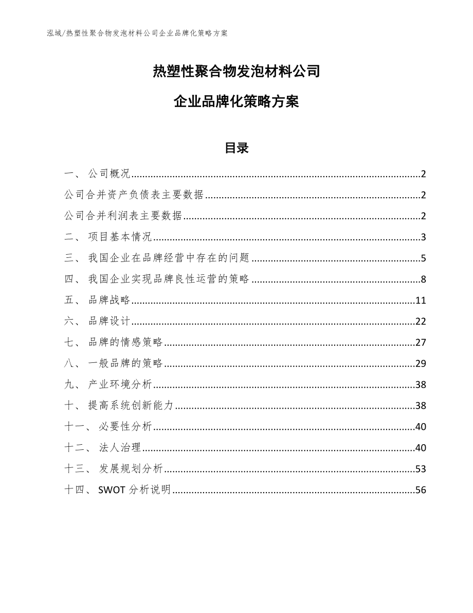 热塑性聚合物发泡材料公司企业品牌化策略方案（参考）_第1页