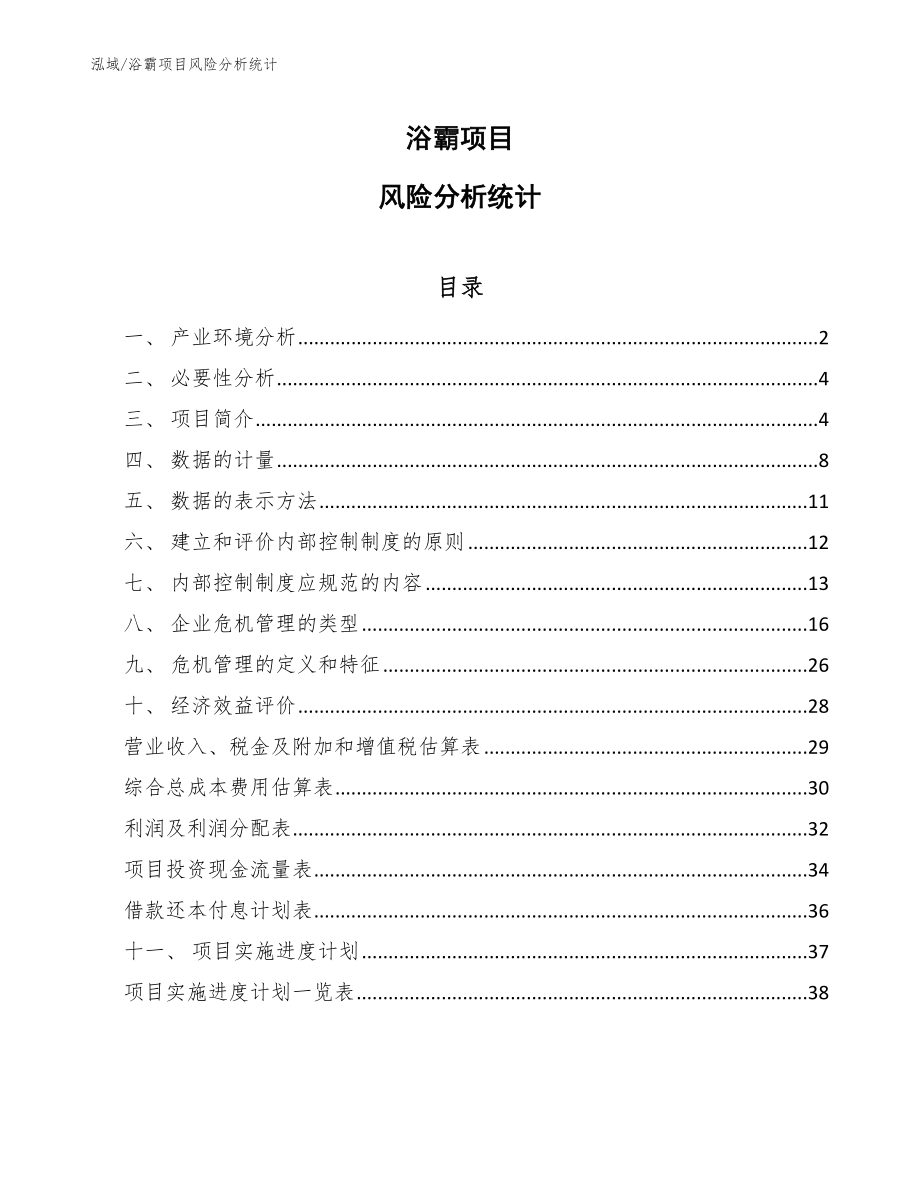 浴霸项目风险分析统计_参考_第1页