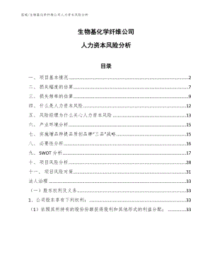 生物基化学纤维公司人力资本风险分析【范文】