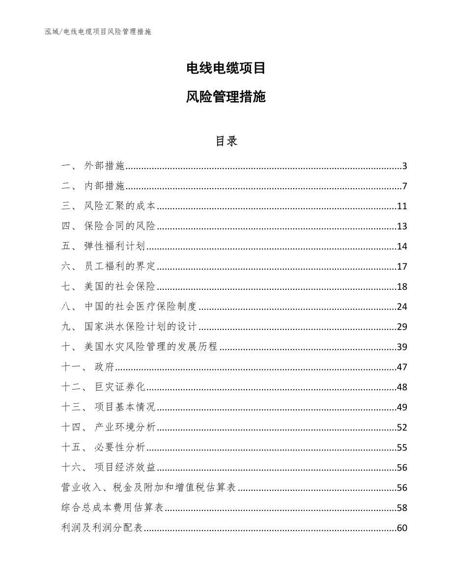 电线电缆项目风险管理措施_第1页