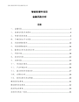 智能软硬件项目金融风险分析