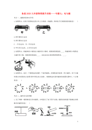 備戰(zhàn)2020年九年級物理考點提升訓(xùn)練 專題七 電與磁（含解析）