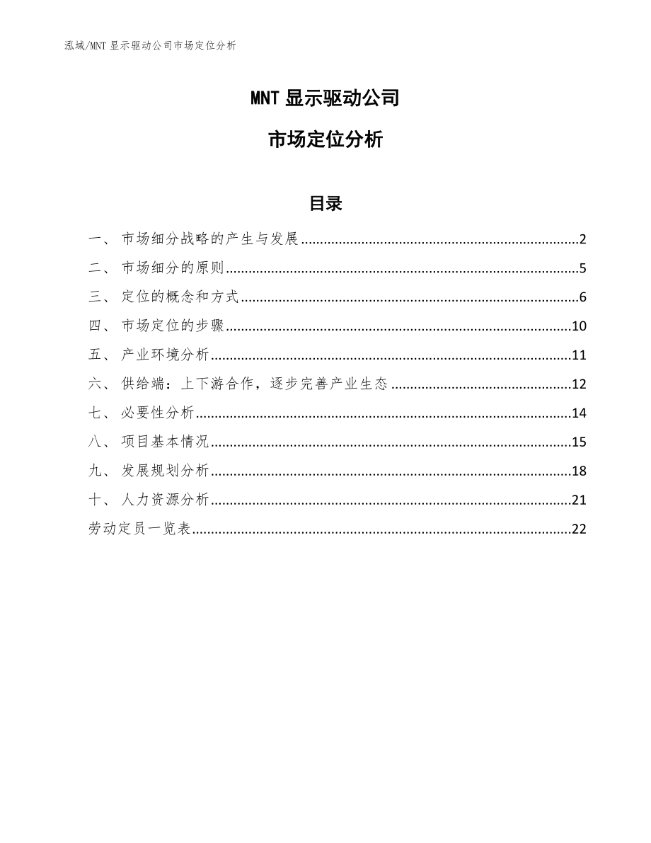 MNT显示驱动公司市场定位分析_第1页