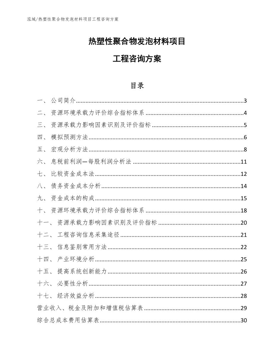 热塑性聚合物发泡材料项目工程咨询方案