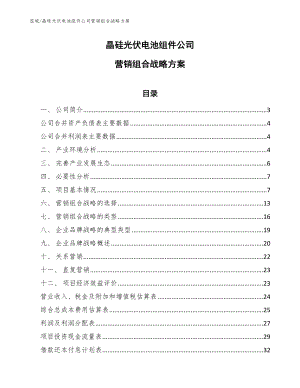 晶硅光伏电池组件公司营销组合战略方案【参考】