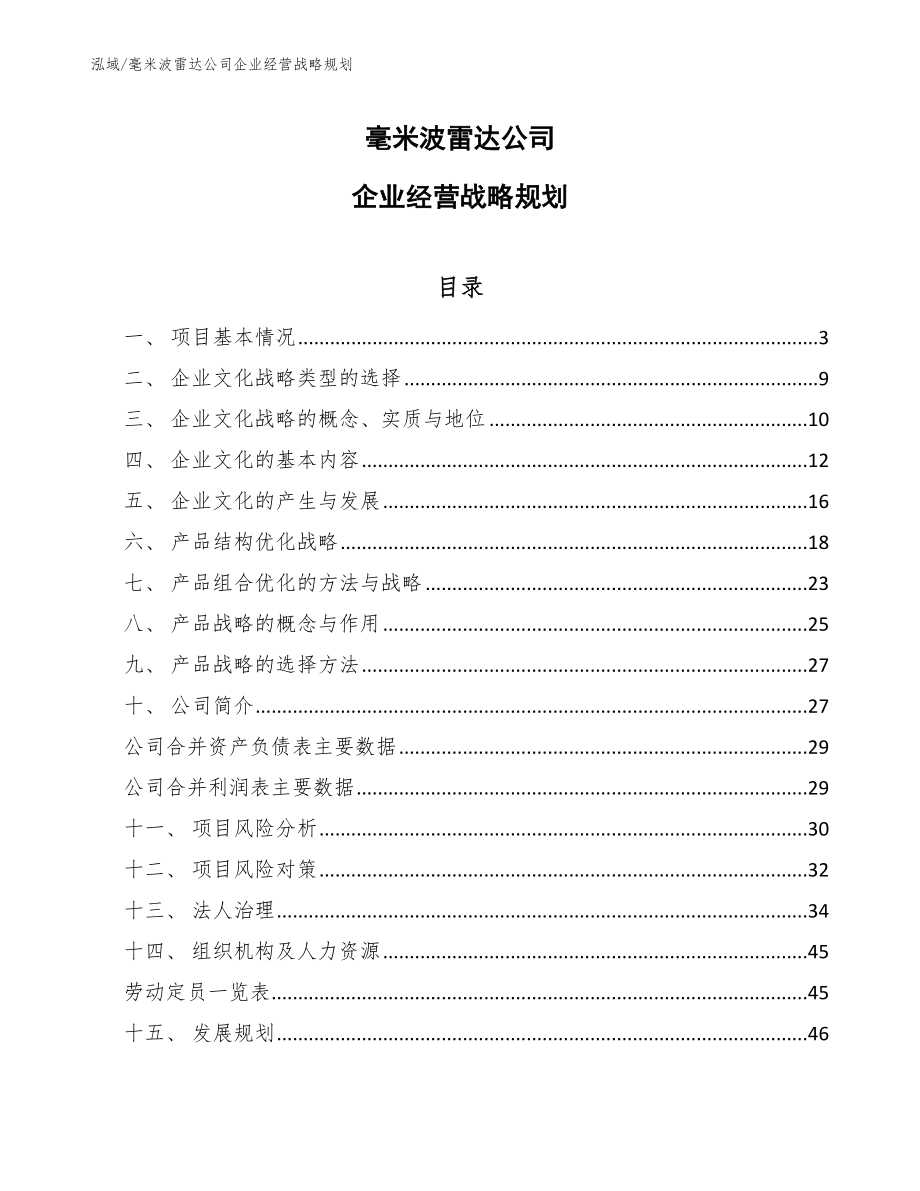 毫米波雷达公司企业经营战略规划_第1页