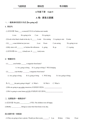 6年級(jí)下冊(cè)Unit 5考點(diǎn)精練