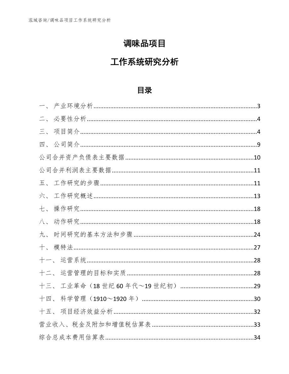 调味品项目工作系统研究分析_范文_第1页