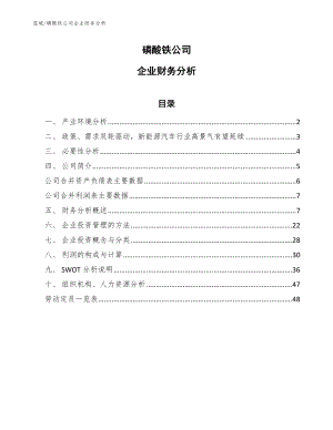 磷酸铁公司企业财务分析（范文）