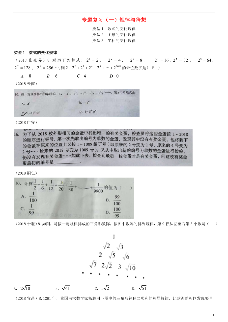 全国2018年中考数学真题分类汇编 专题复习（一）规律与猜想（答案不全）_第1页