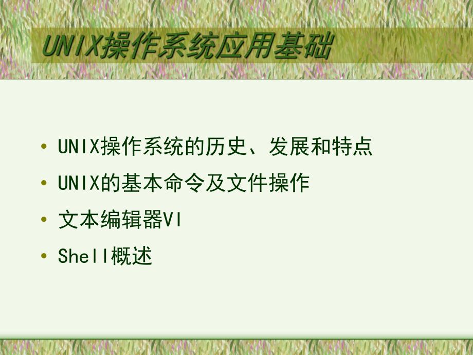 UNIX操作系统应用基础_第1页