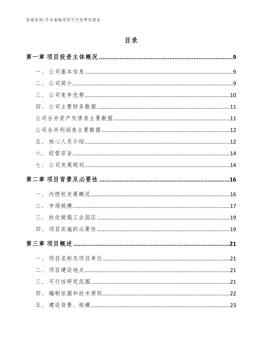 丹东曲轴项目可行性研究报告（参考模板）_第1页