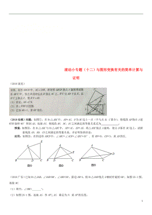 全國2018年中考數(shù)學(xué)真題分類匯編 滾動小專題（十二）與圖形變換有關(guān)的簡單計算與證明（答案不全）