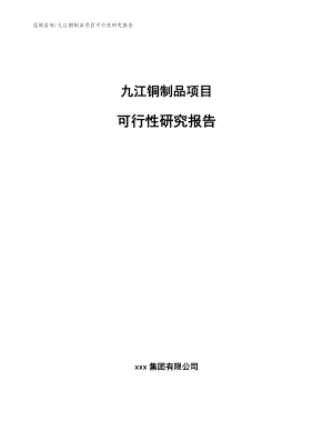 九江铜制品项目可行性研究报告