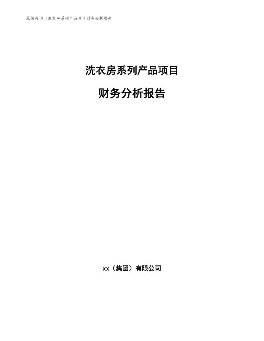 洗衣房系列产品项目财务分析报告-参考范文_第1页