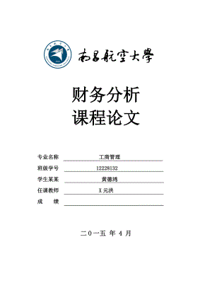 南方航空公司財務(wù)的分析報告 報告材料