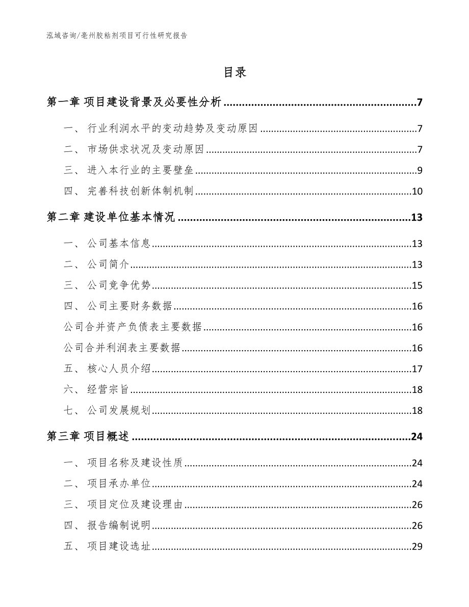 亳州胶粘剂项目可行性研究报告模板参考_第1页