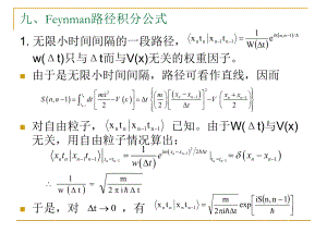 九Feynman路径积分公式