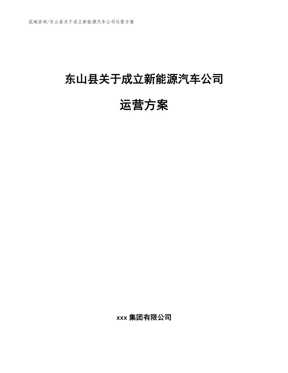 东山县关于成立新能源汽车公司运营方案【参考范文】_第1页