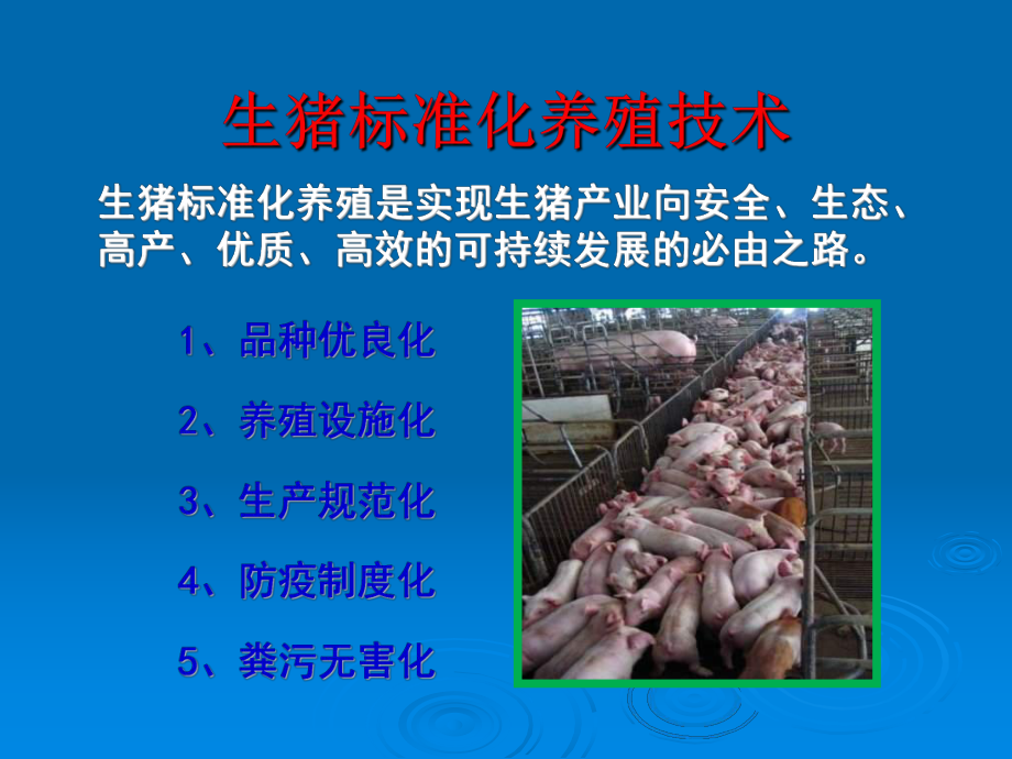 生猪养殖培训稿PPT课件_第1页