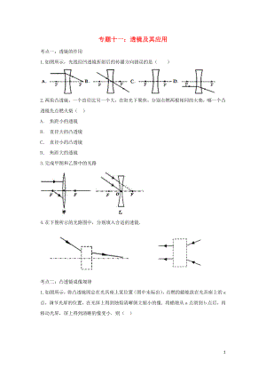 聚焦2020中考物理考點提升訓(xùn)練 專題十一 透鏡及其應(yīng)用試題