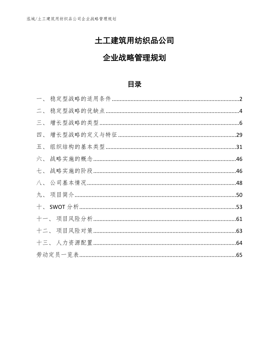 土工建筑用纺织品公司企业战略管理规划_范文_第1页