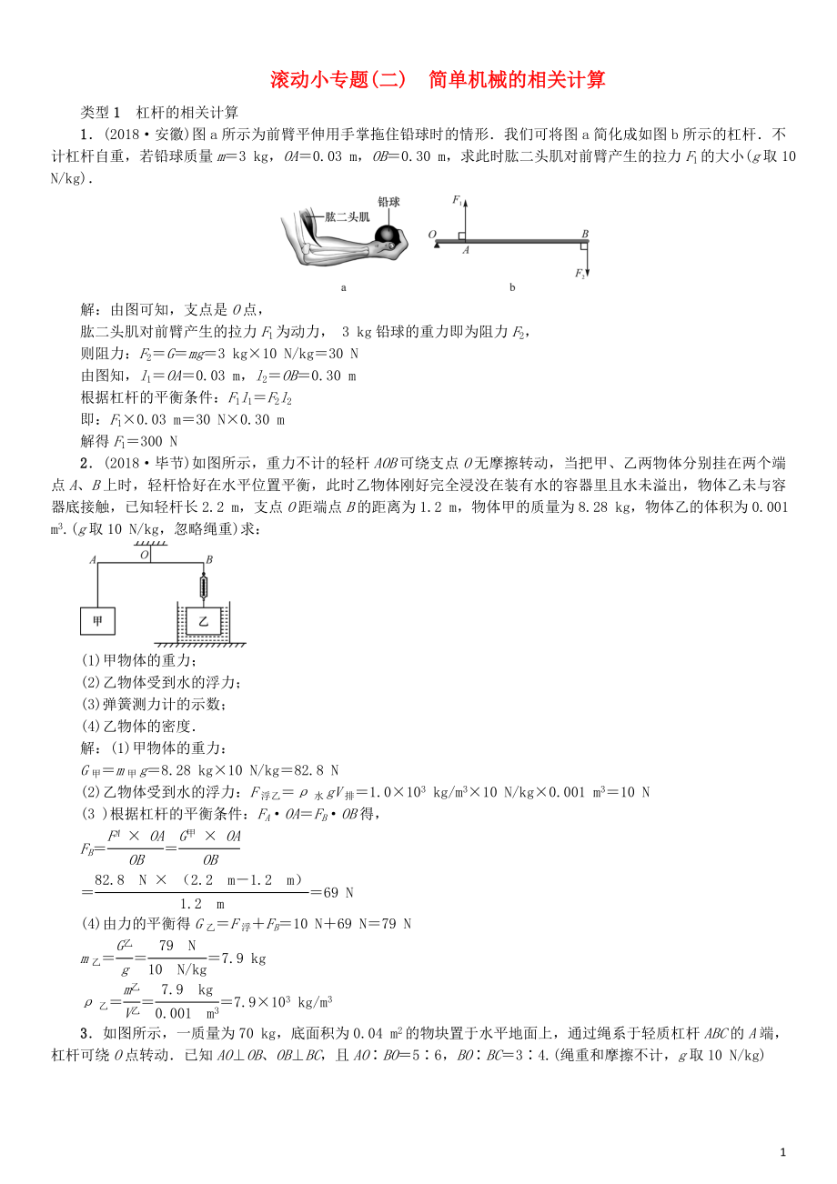 （河北專版）2018年秋中考物理總復(fù)習(xí) 滾動小專題（二）簡單機械的相關(guān)計算_第1頁