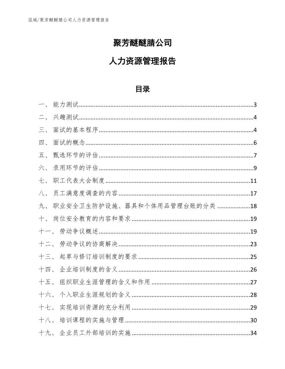 聚芳醚醚腈公司人力资源管理报告（参考）_第1页