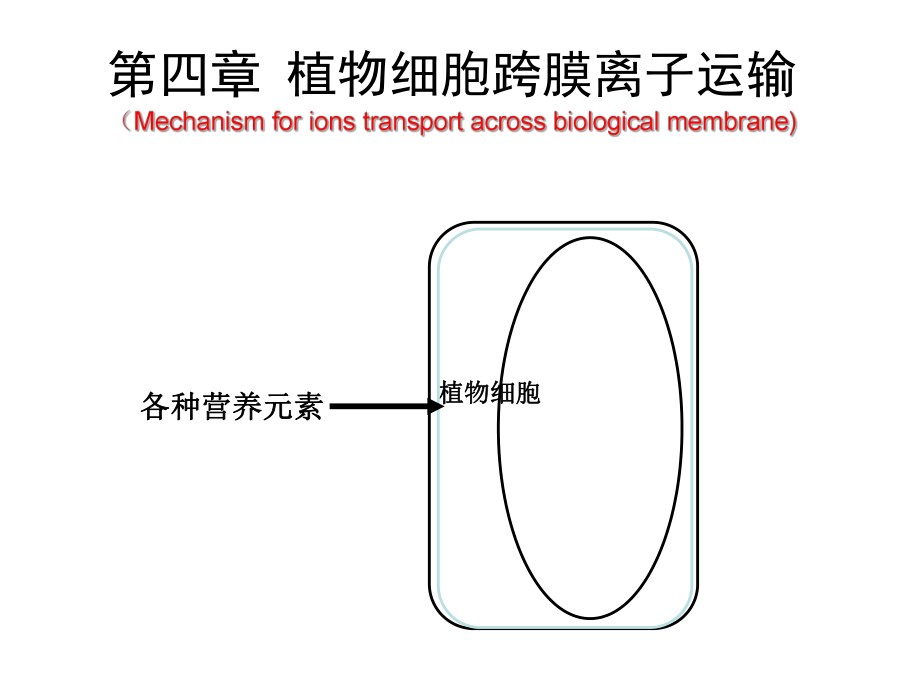植物细胞跨膜离子运输_第1页